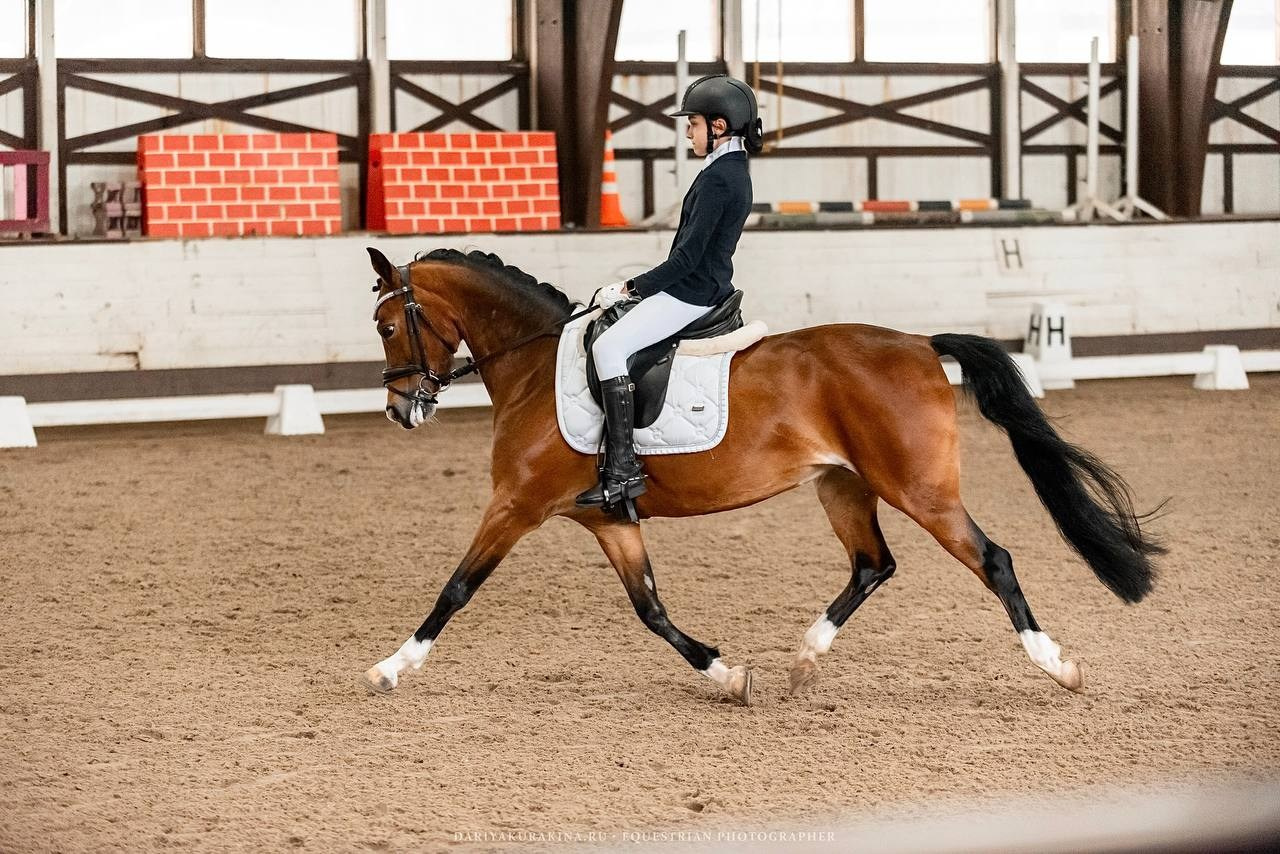 Муниципальные соревнования по выездке «Весенний Кубок КСК «Белая дача». Конный фотограф Куракина Дарья • Фотосессии с лошадьми