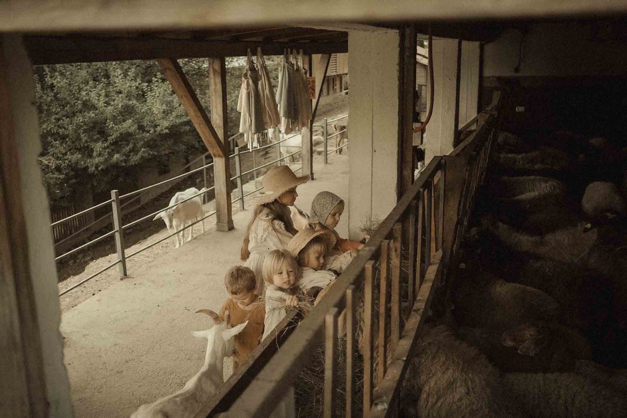 Ферма. Главная