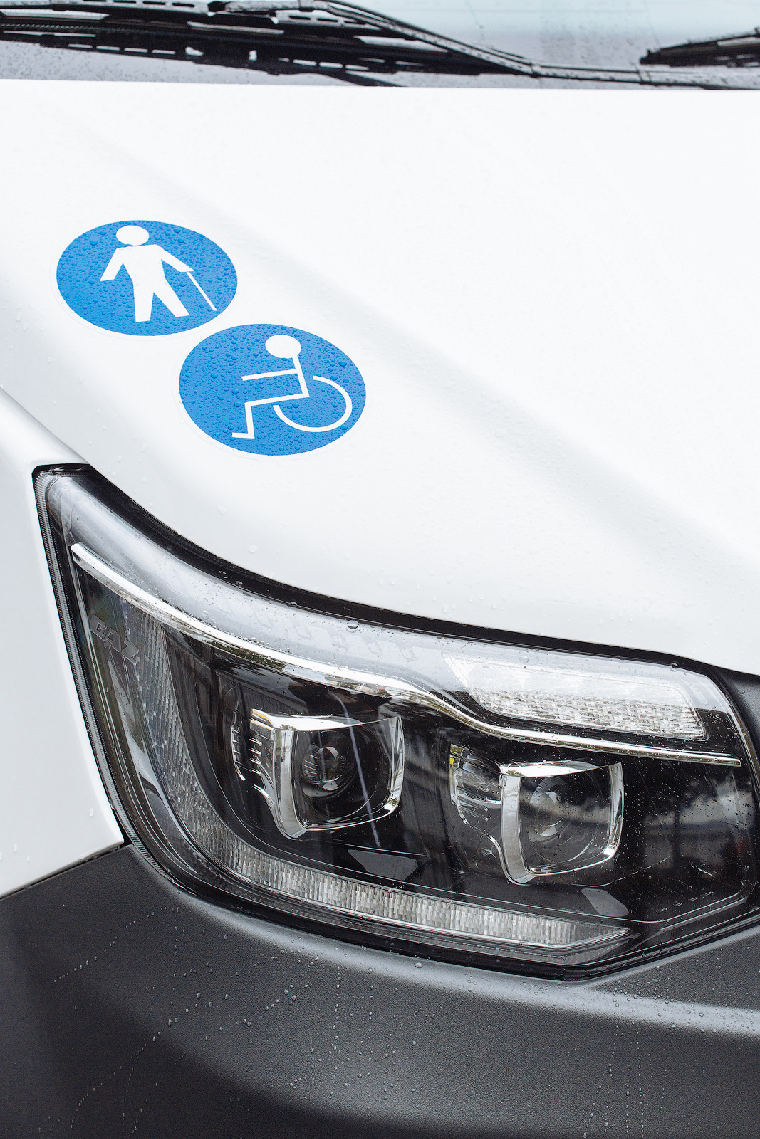 Волна здоровья Пермь 2021 г. Фотограф Дмитрий Молчанов | Фотограф Пермь | Фотограф