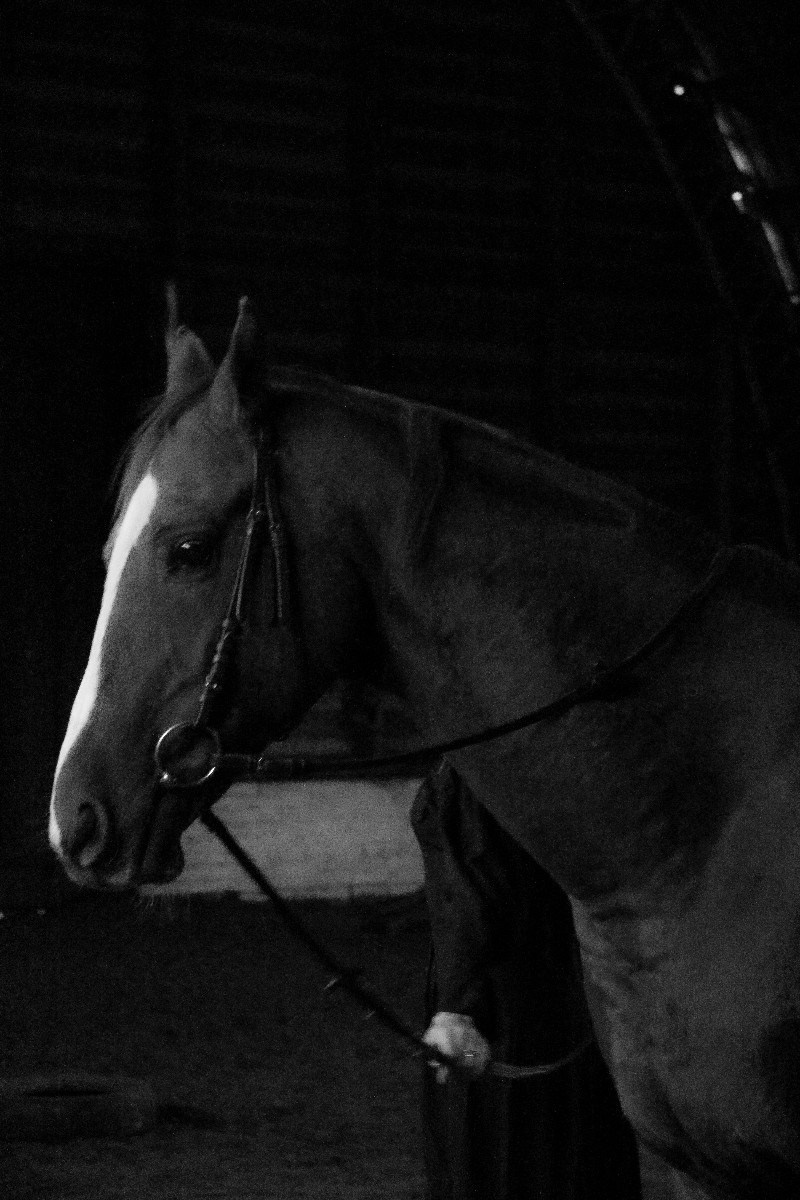 Тематическая съемка