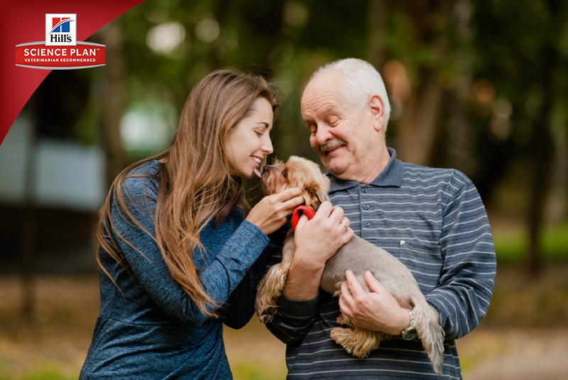 Фотосъёмка для компании Hill`s (2017, перенос со старого сайта). Фотограф собак, фотограф-анималист Аня Титова (Titanya). Москва