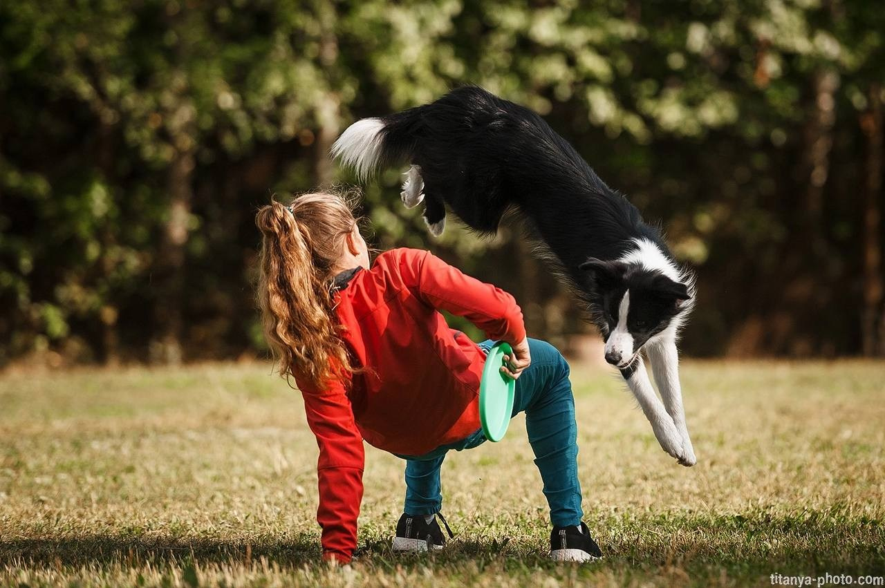 Чемпионат России по дог-фризби (2018, перенос со старого сайта). Фотограф собак, фотограф-анималист Аня Титова (Titanya). Москва