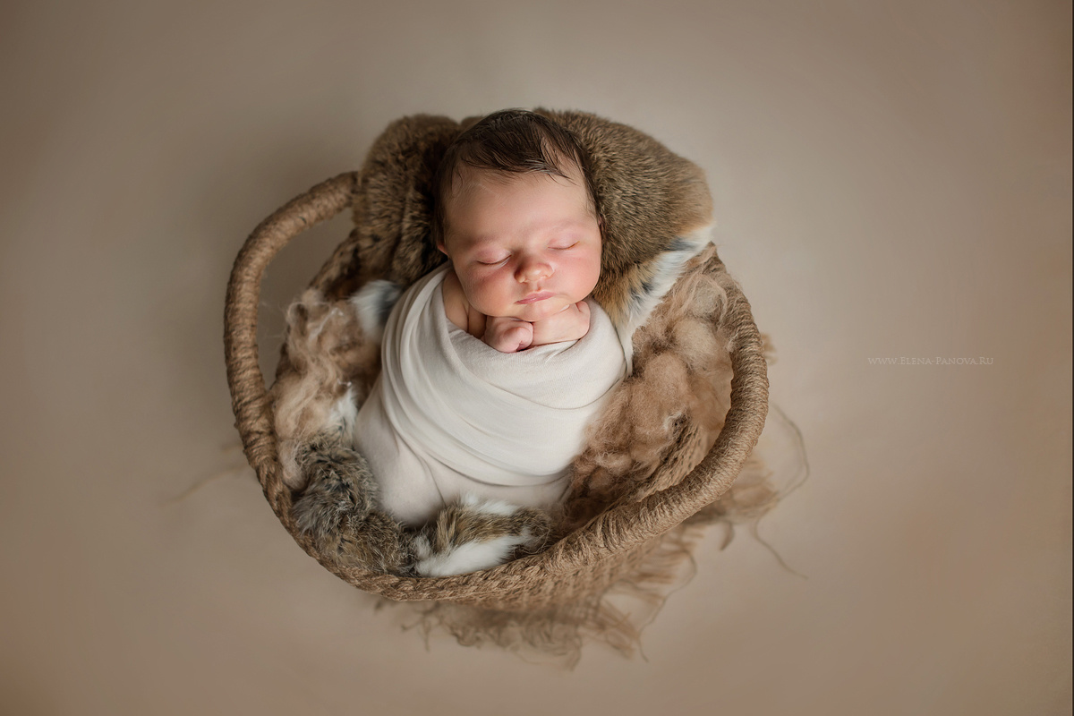 Новорожденные. Фотограф новорожденных Елена Панова