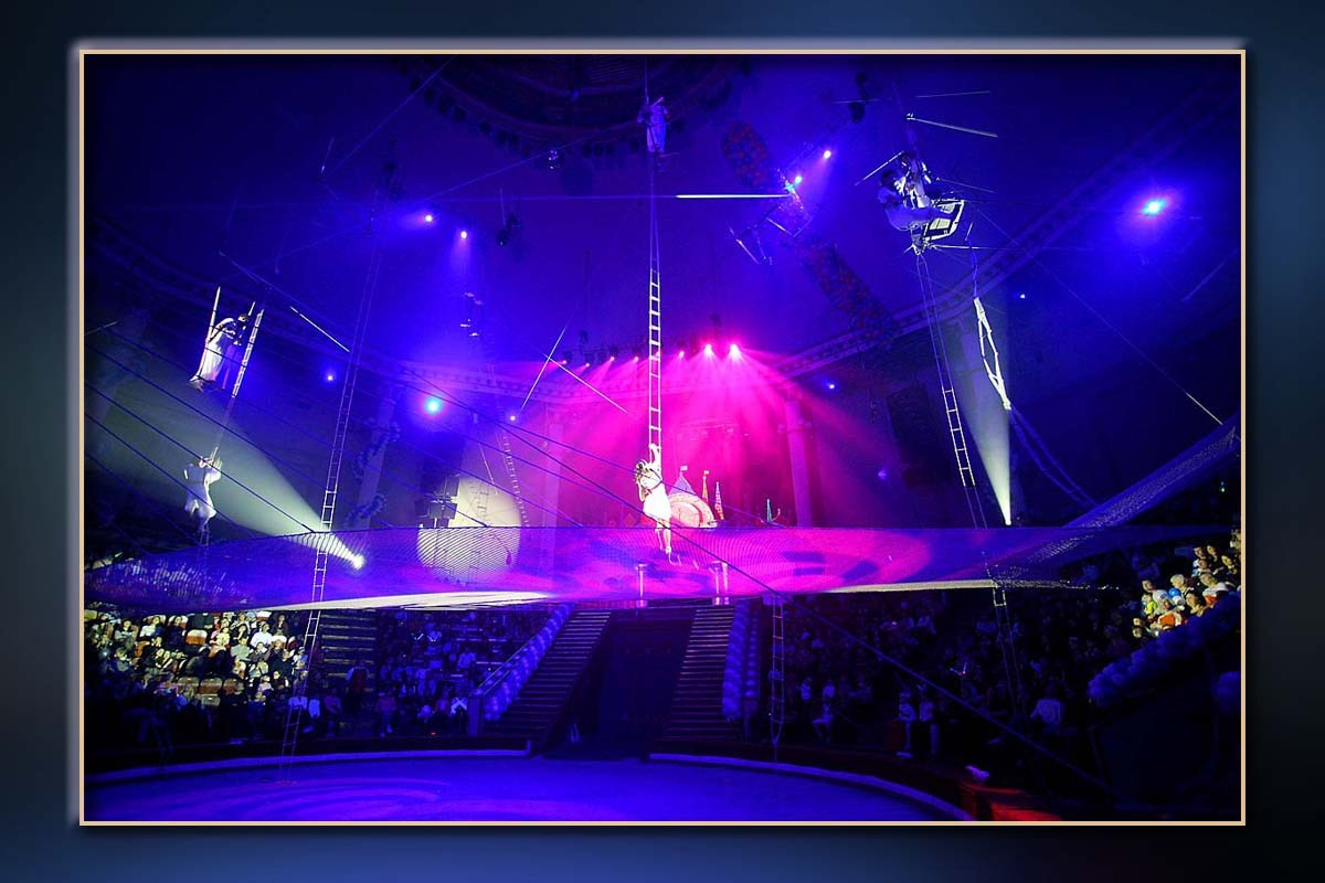 Корпоратив Дон-Строй Новый год. Skazka.wfolio.pro