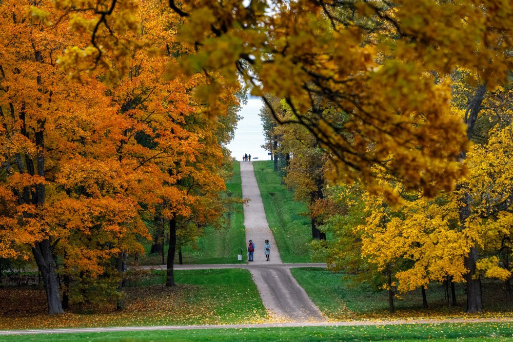 Локации в Петергофе