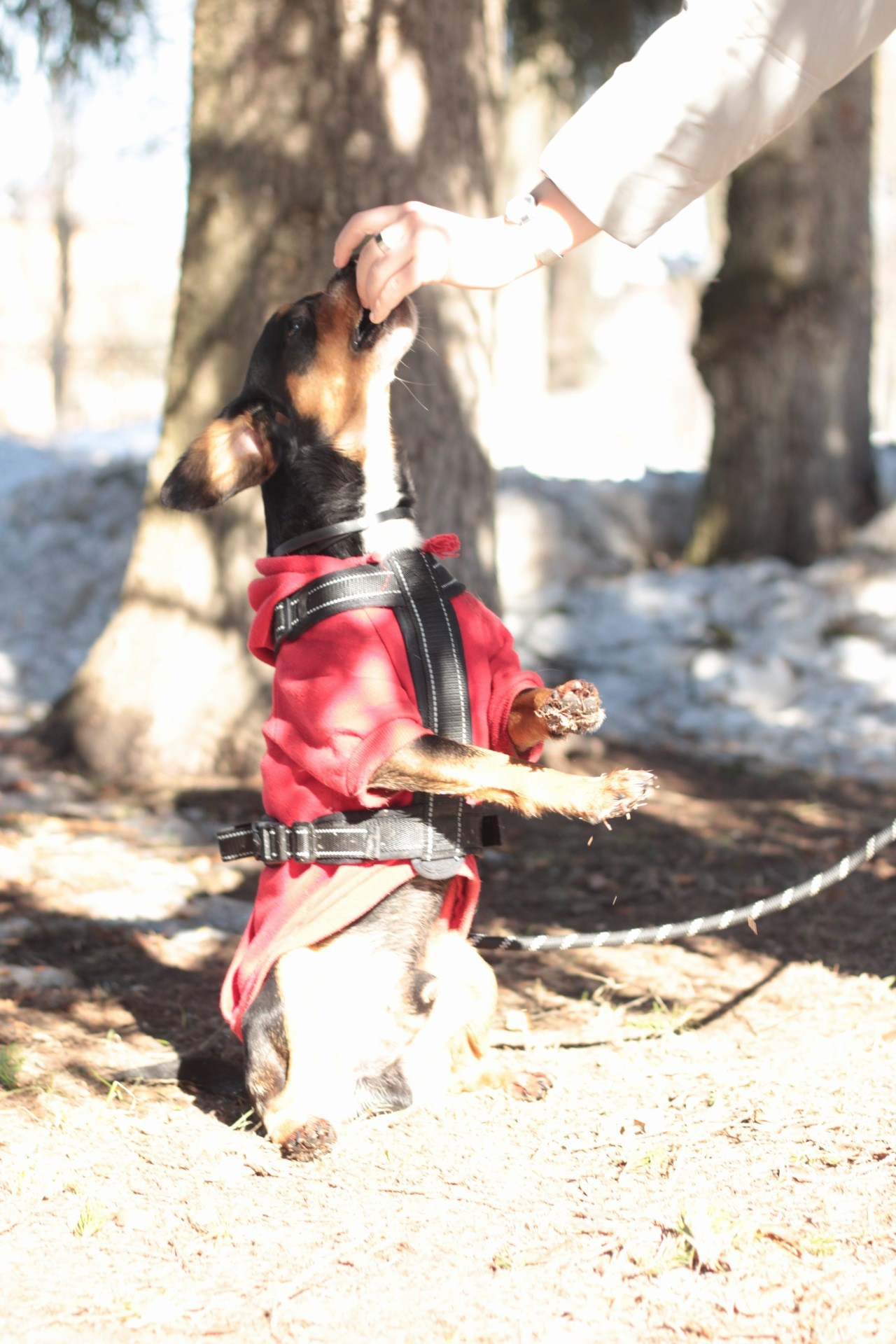 Маша и Кекс. Катя Попова|ЛайфСтайл фотограф