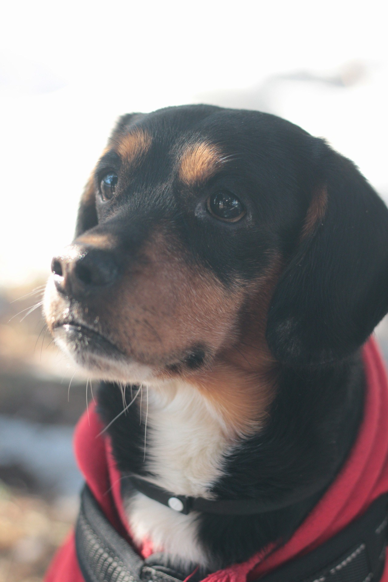 Маша и Кекс. Катя Попова|ЛайфСтайл фотограф