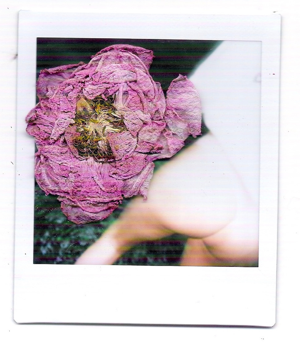 Polaroid. Carolinetru