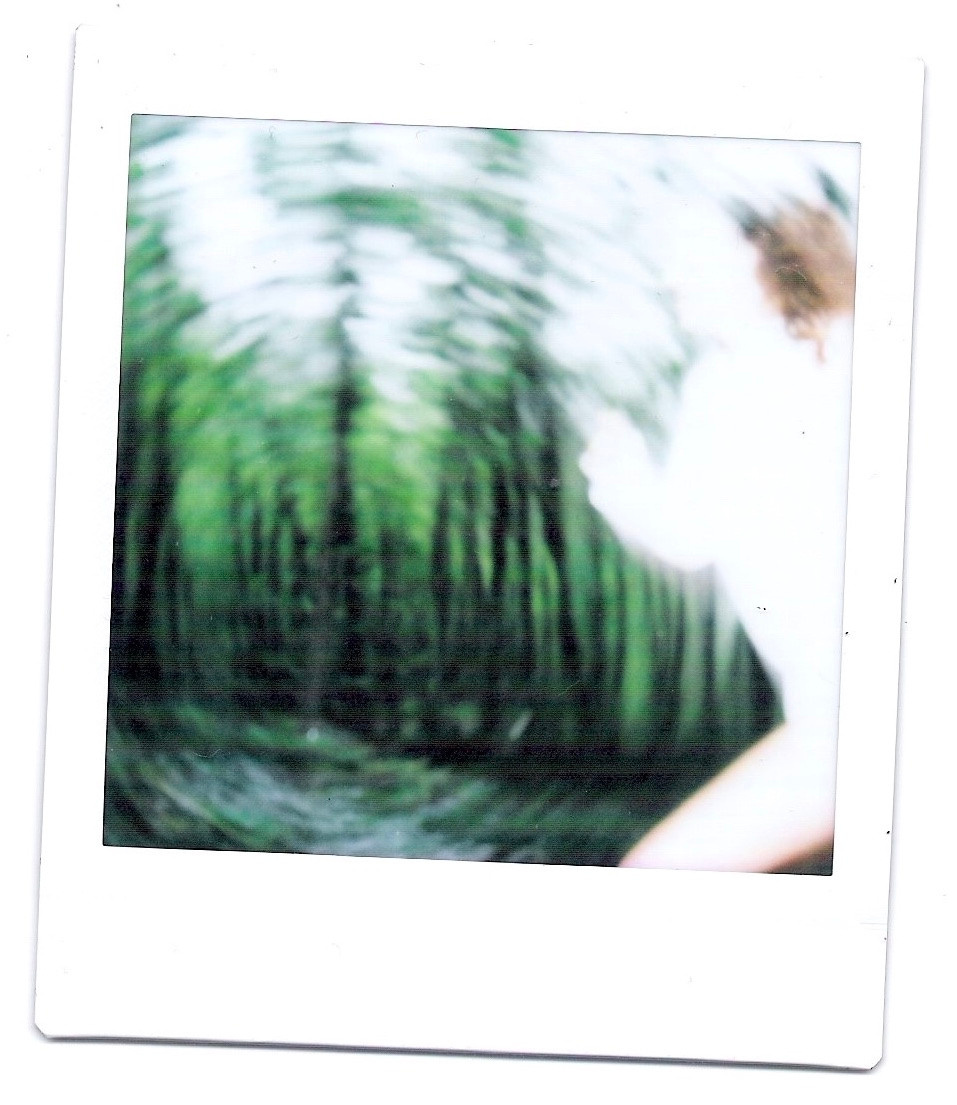 Polaroid. Carolinetru