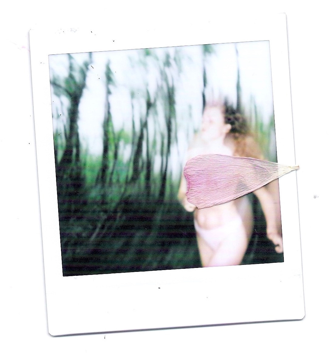 Polaroid. Carolinetru