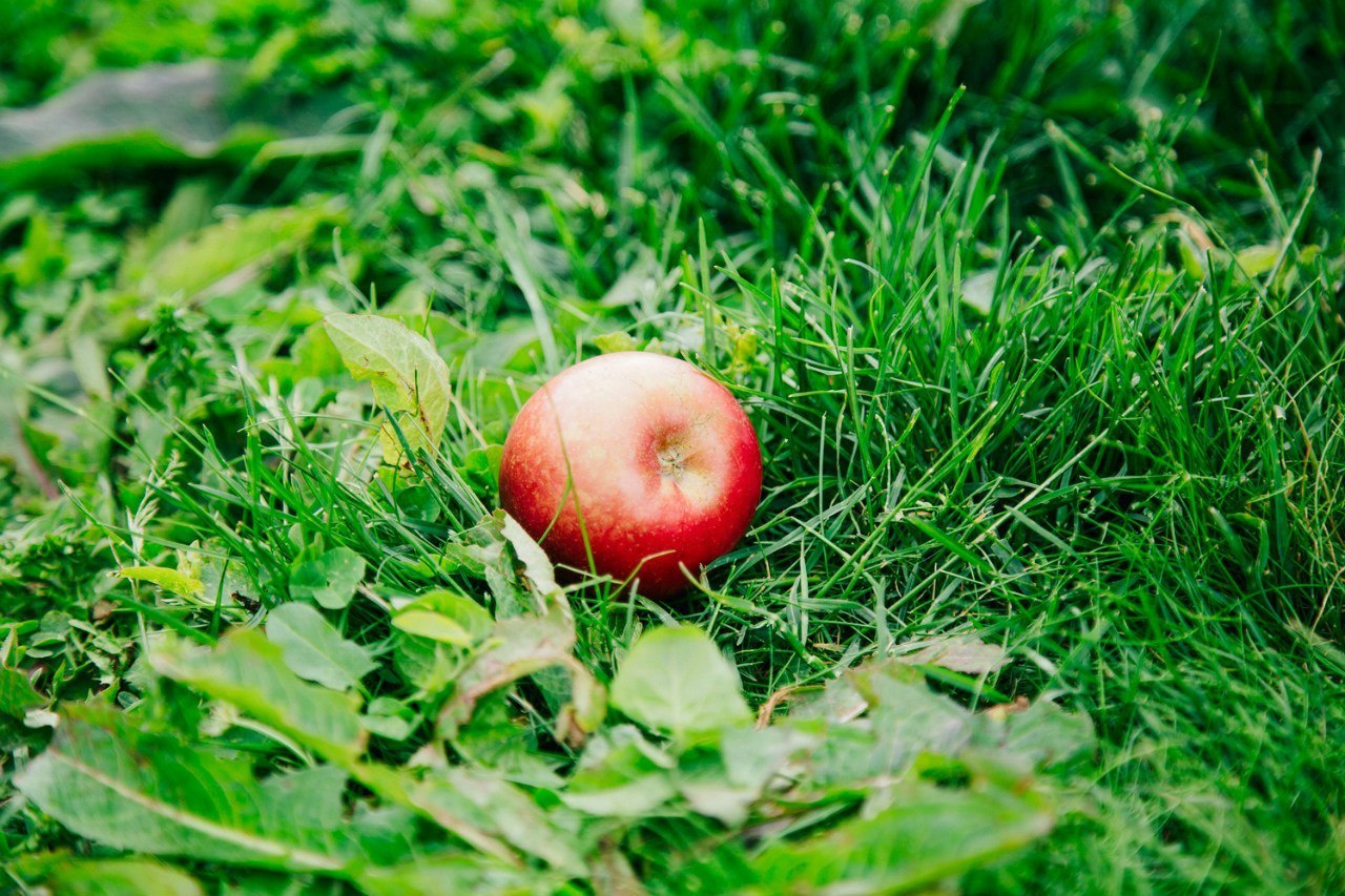 Детская. Свадебный  и семейный фотограф в Краснодаре