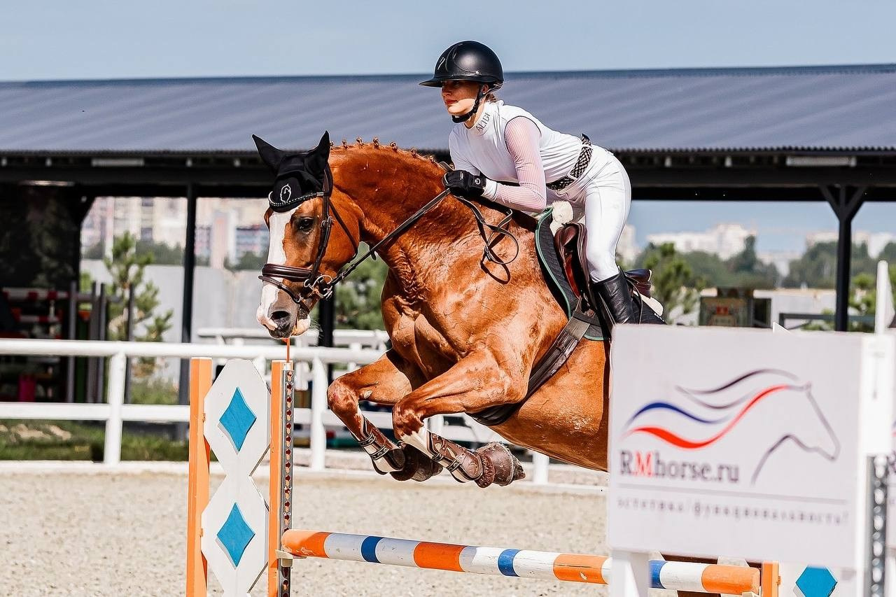Соревнования по конкуру в МКК ВОЛЬТ — ГОРТЕНЗИЯ-ТУР. Конный фотограф Куракина Дарья • Фотосессии с лошадьми