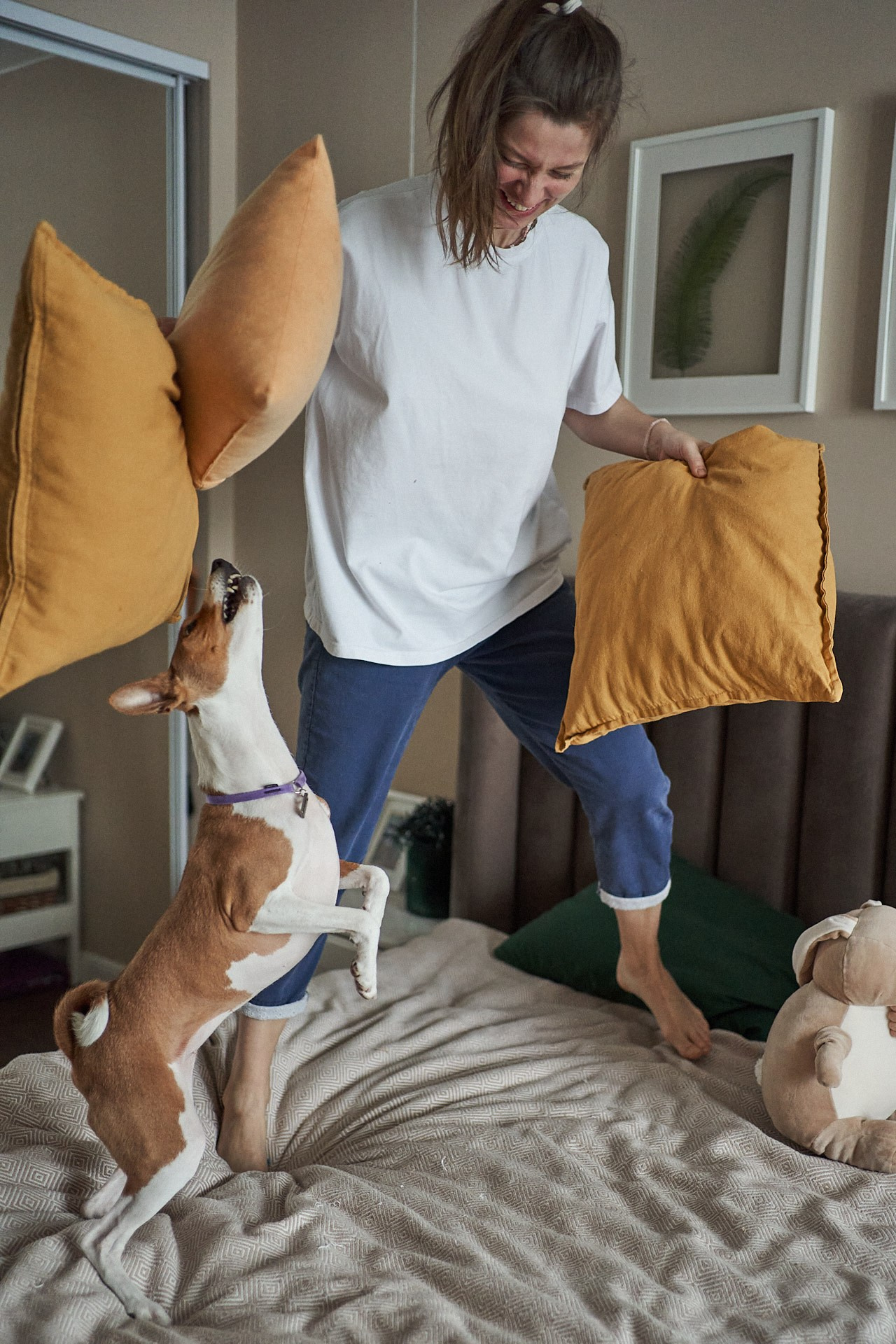 Аня, Майя и Пепси. Фотограф анималист Москва Дарья