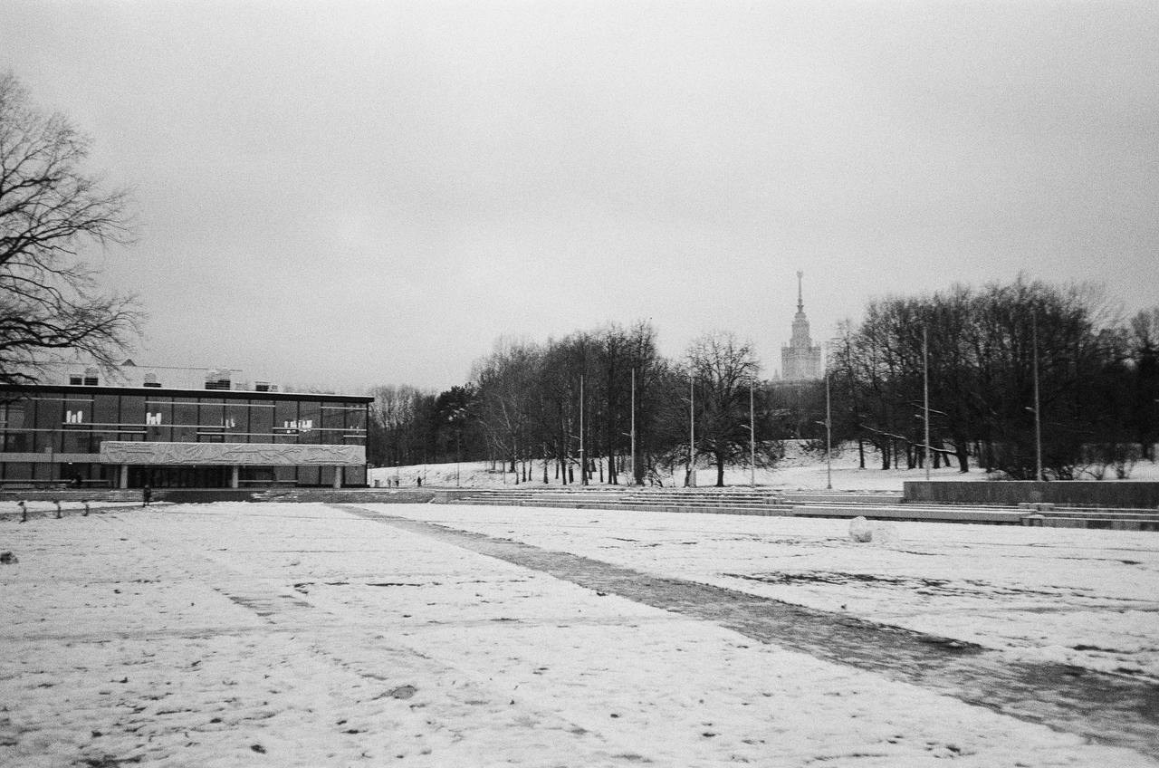 30.11.2024 // Фотоэкскурсия по Воробьевым горам с your_guide_msk. Фотовыставки serebro.gallery, в которых автором можешь стать ты! | Москва