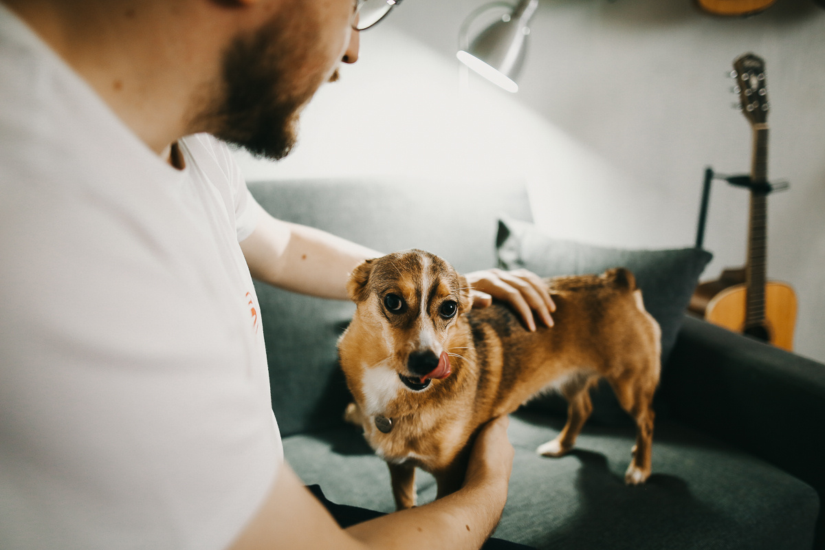 Поцелуй Декабря. Соня Черных (sophieblack)