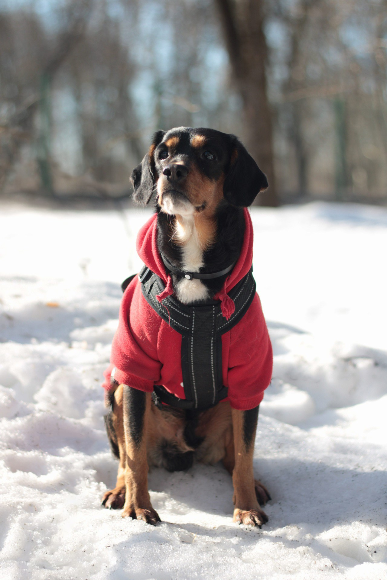 Маша и Кекс. Катя Попова|ЛайфСтайл фотограф