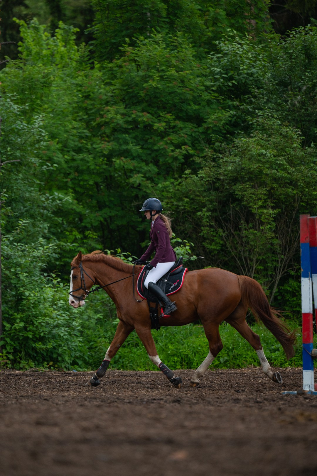 Конюшня. Мир живой фотографии о Вас и для Вас