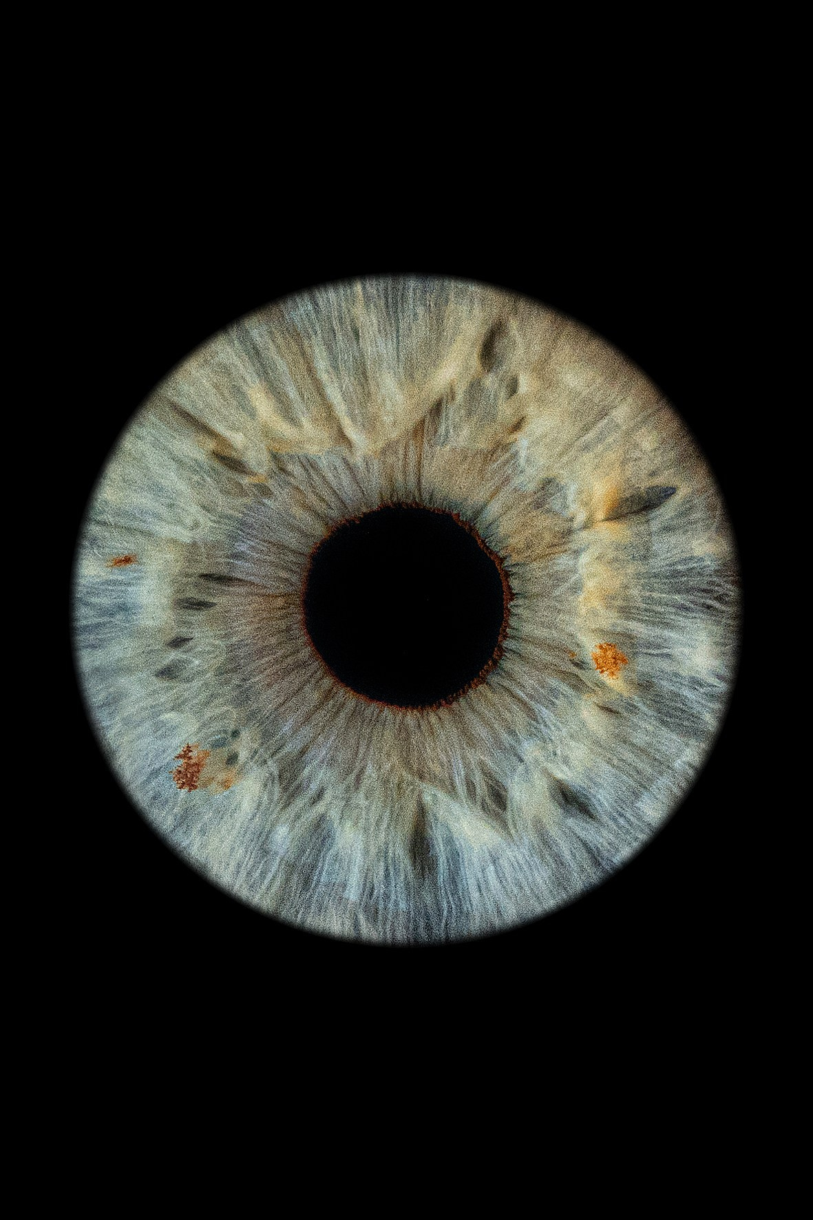 Примеры работ. Мой глаз