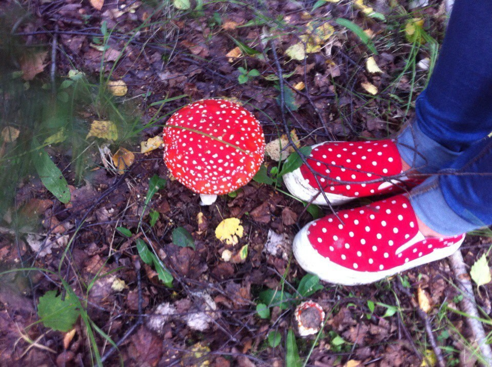 Деревенский выезд 2 | 26-28.08.2016. Галерея Фантим