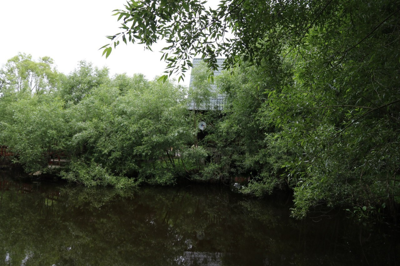 Деревенский выезд. Галерея Фантим