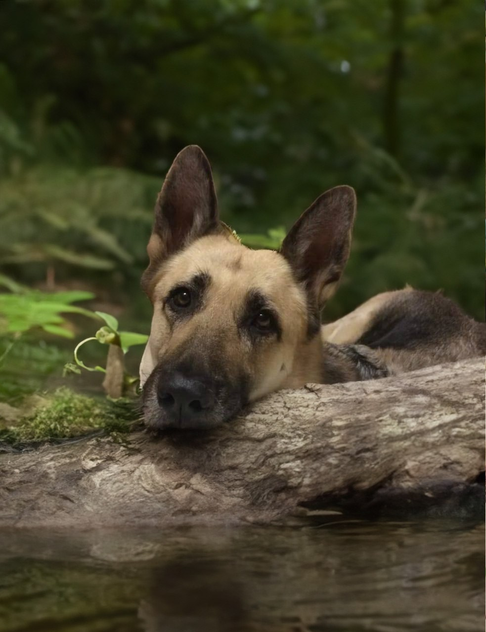 Графический дизайн. Силантьева Наталья фотограф
