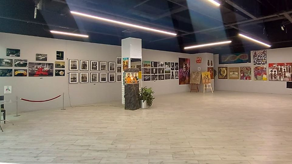 Приобретение работ Романа Адлера. Фотограф Роман Адлер