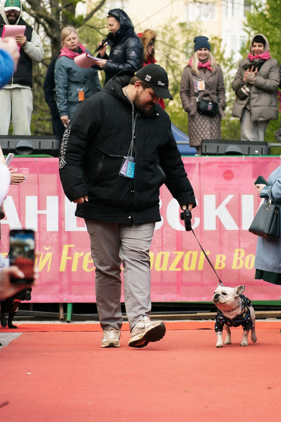 Парад Бульдогов. Axenov_eugene