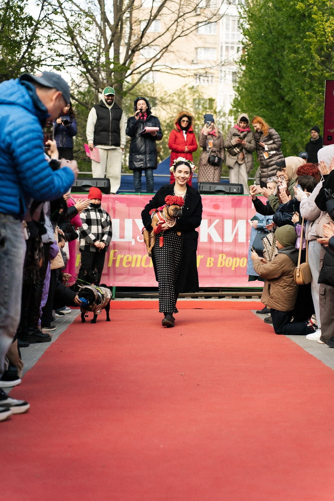 Парад Бульдогов. Axenov_eugene