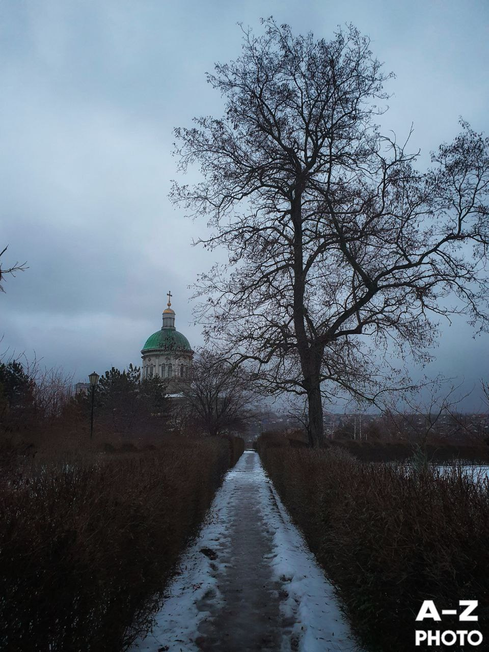 #ФОТОНЕДЕЛИ 09.02.2026. Женский семейный фотограф Тула Москва Захарова Анна