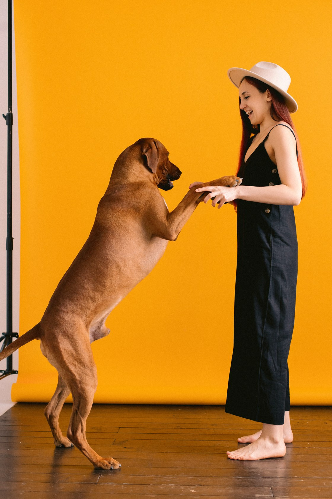 Виктория и Клинч