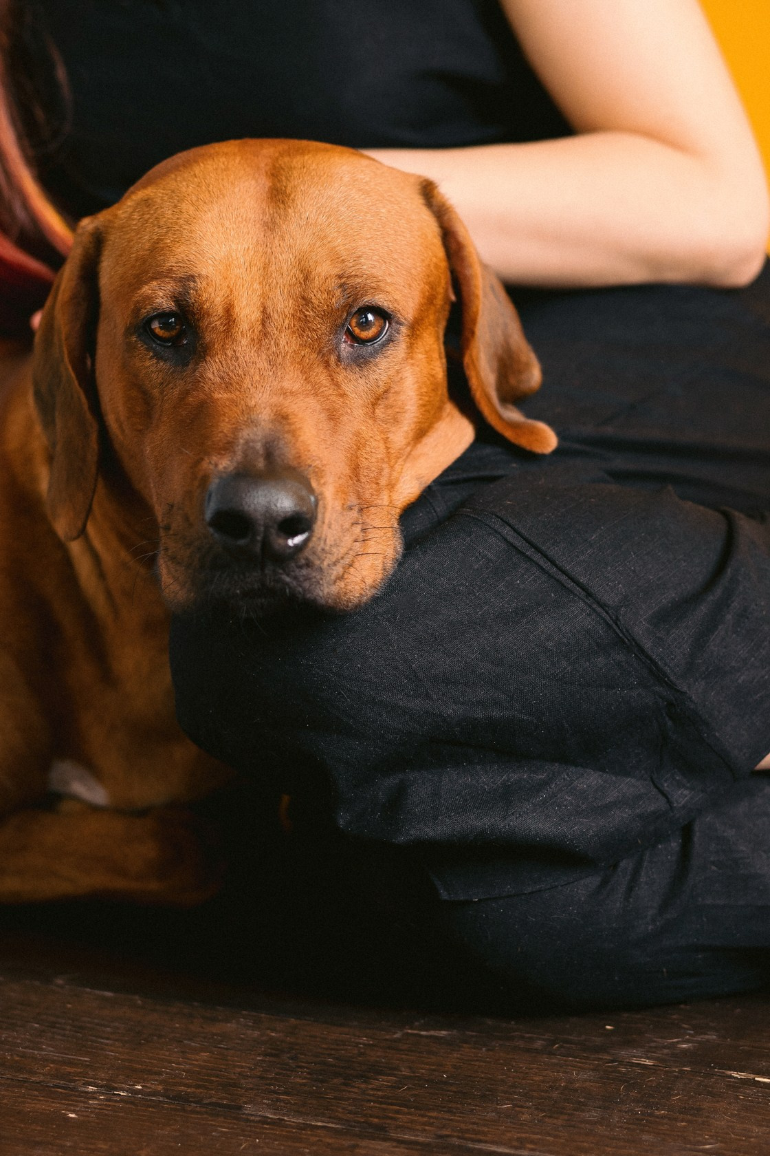 Виктория и Клинч