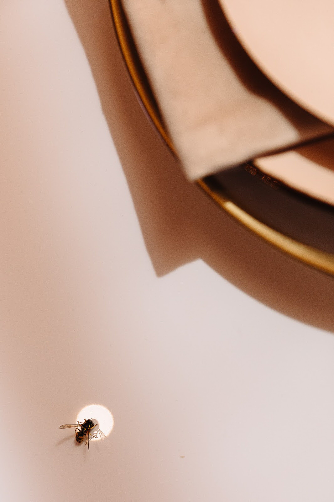 Dune. Свадебный фотограф в Москве Владимир Барабанов