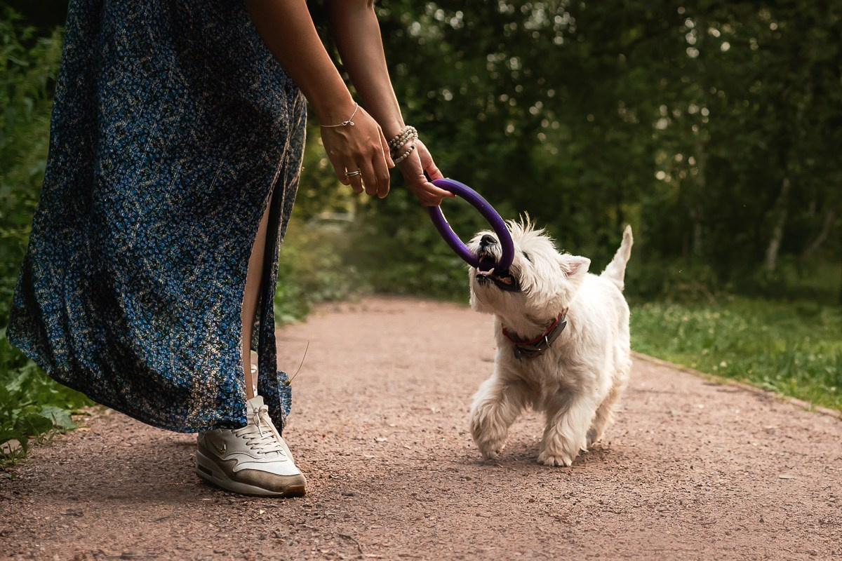 Как я выбираю, на какой объектив снимать животных?