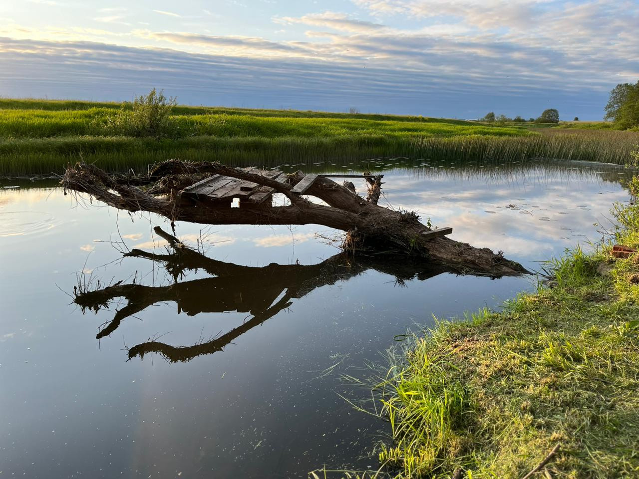 Природа. Глэмпинг «На островах» / аренда домиков для отдыха посуточно