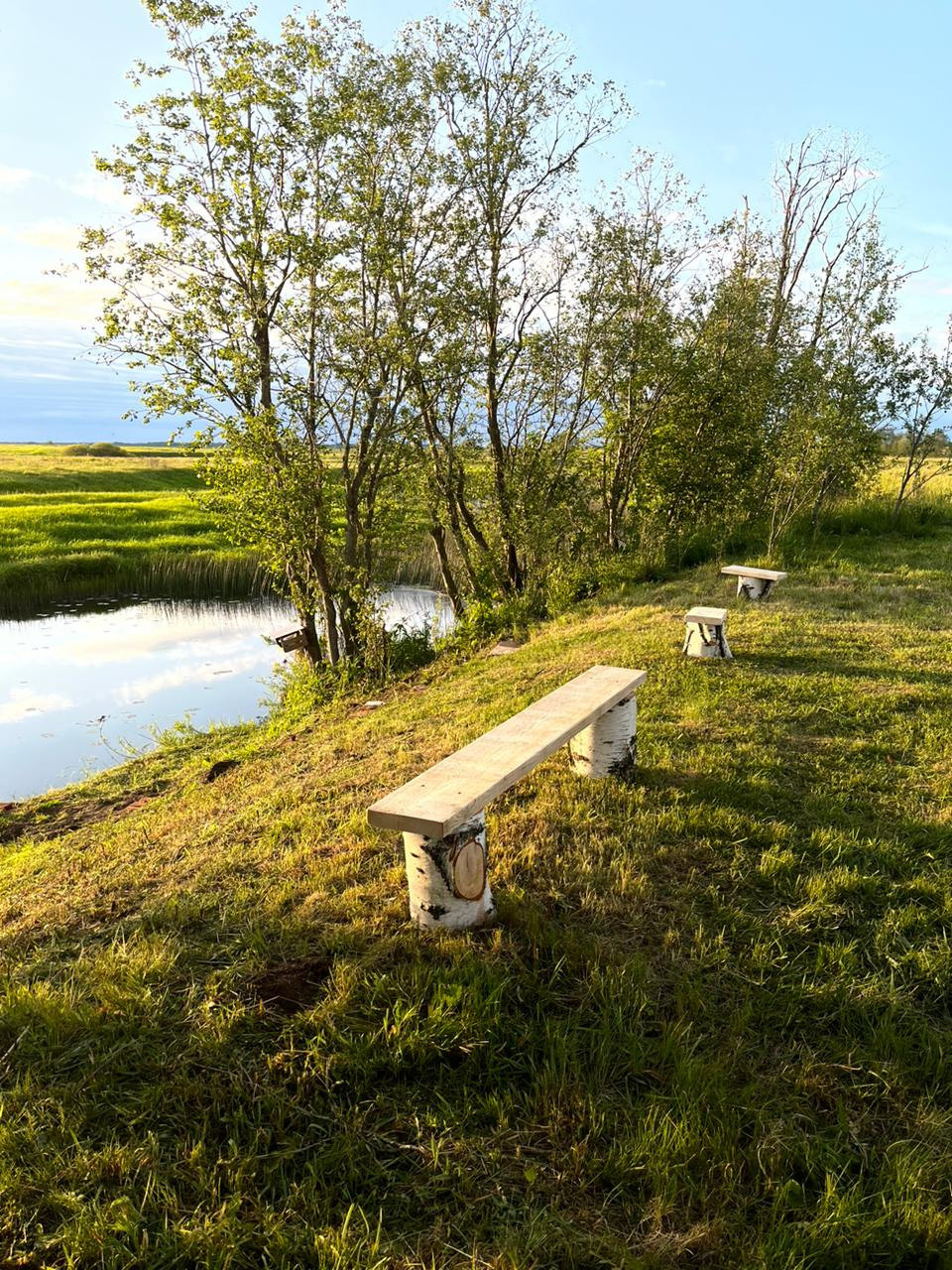 Природа. Глэмпинг «На островах» / аренда домиков для отдыха посуточно