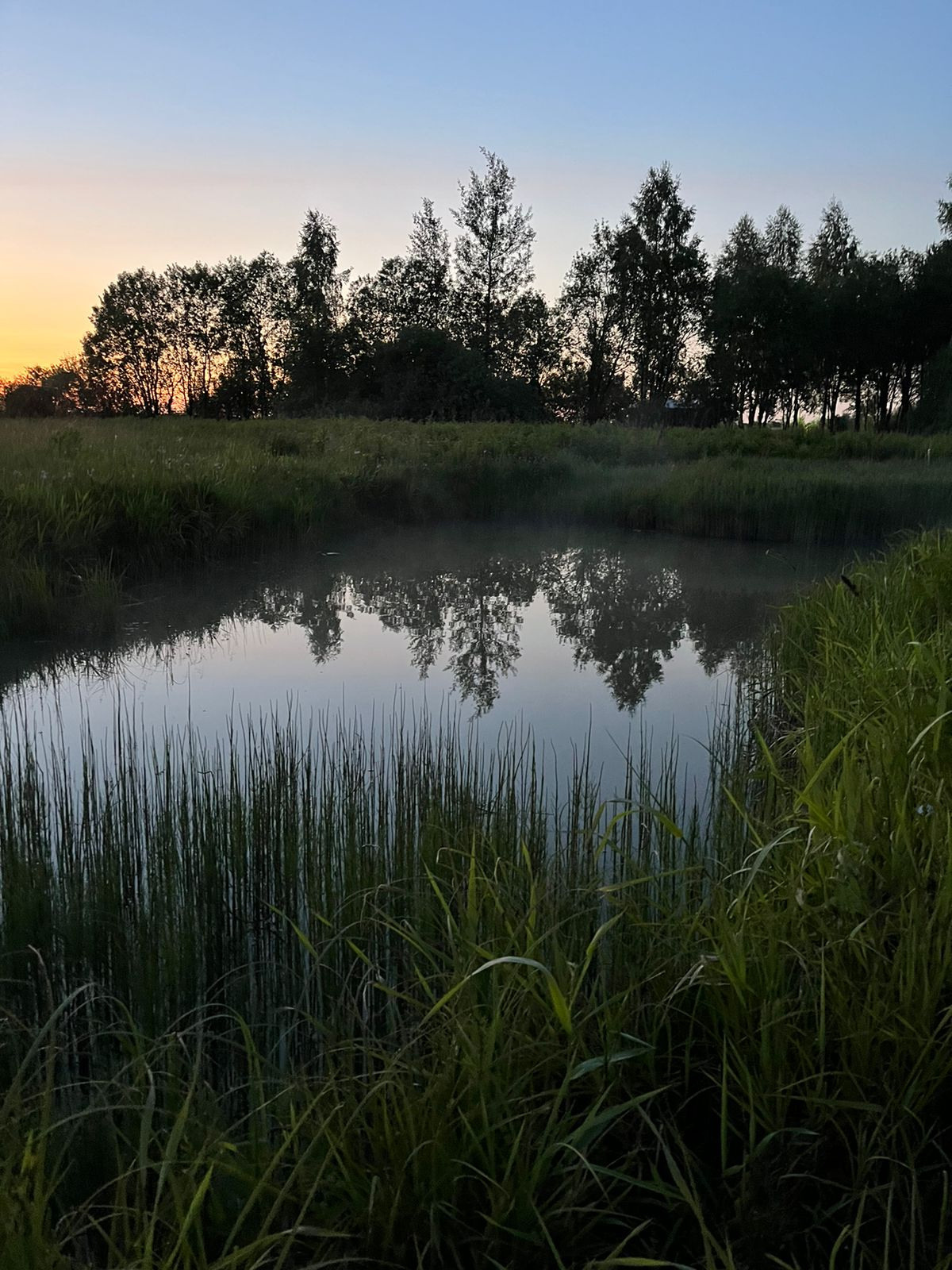 Природа. Глэмпинг «На островах» / аренда домиков для отдыха посуточно