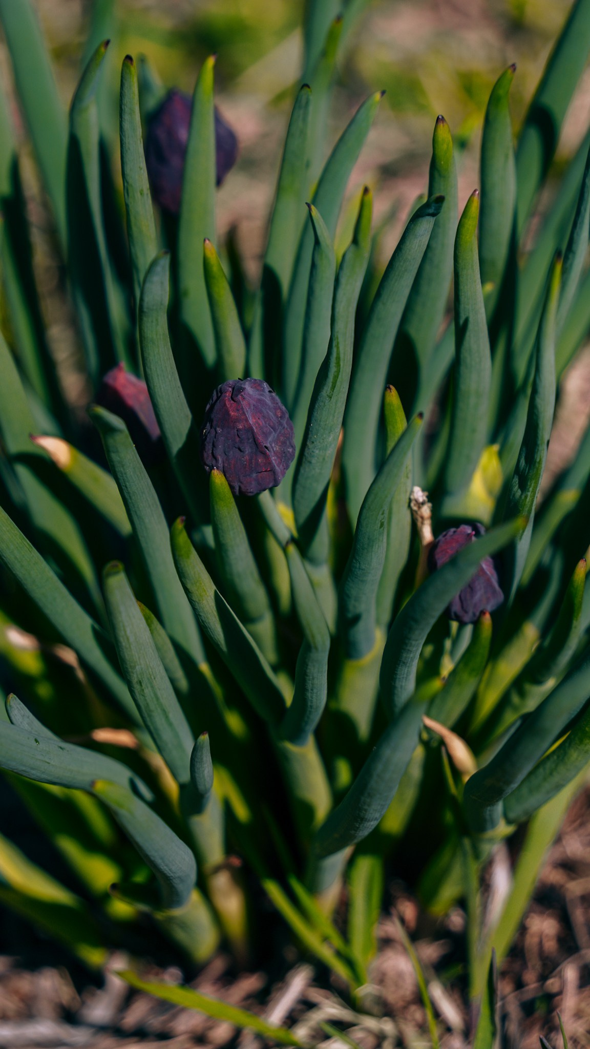 Кыргызстан. Человек с фотокамерой