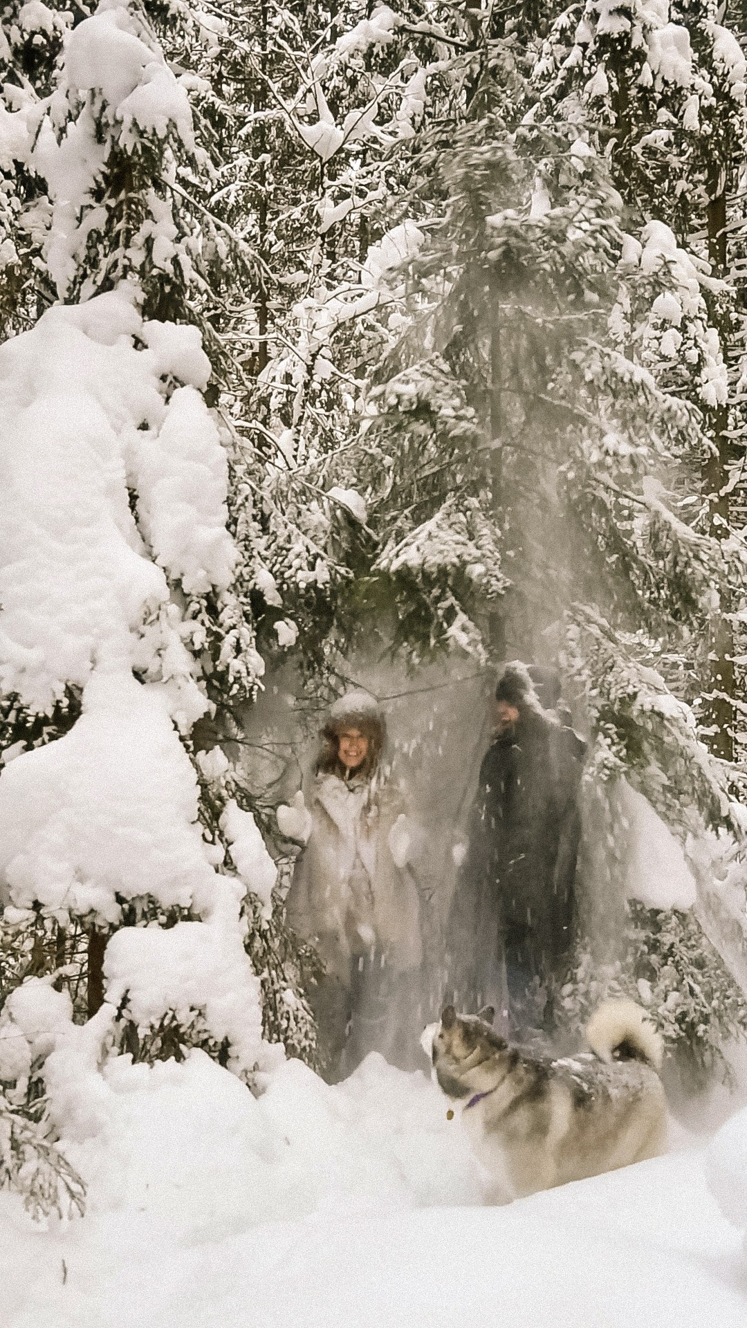 Ада и Андрей. Свадебный фотограф в Санкт-Петербурге София Шубик