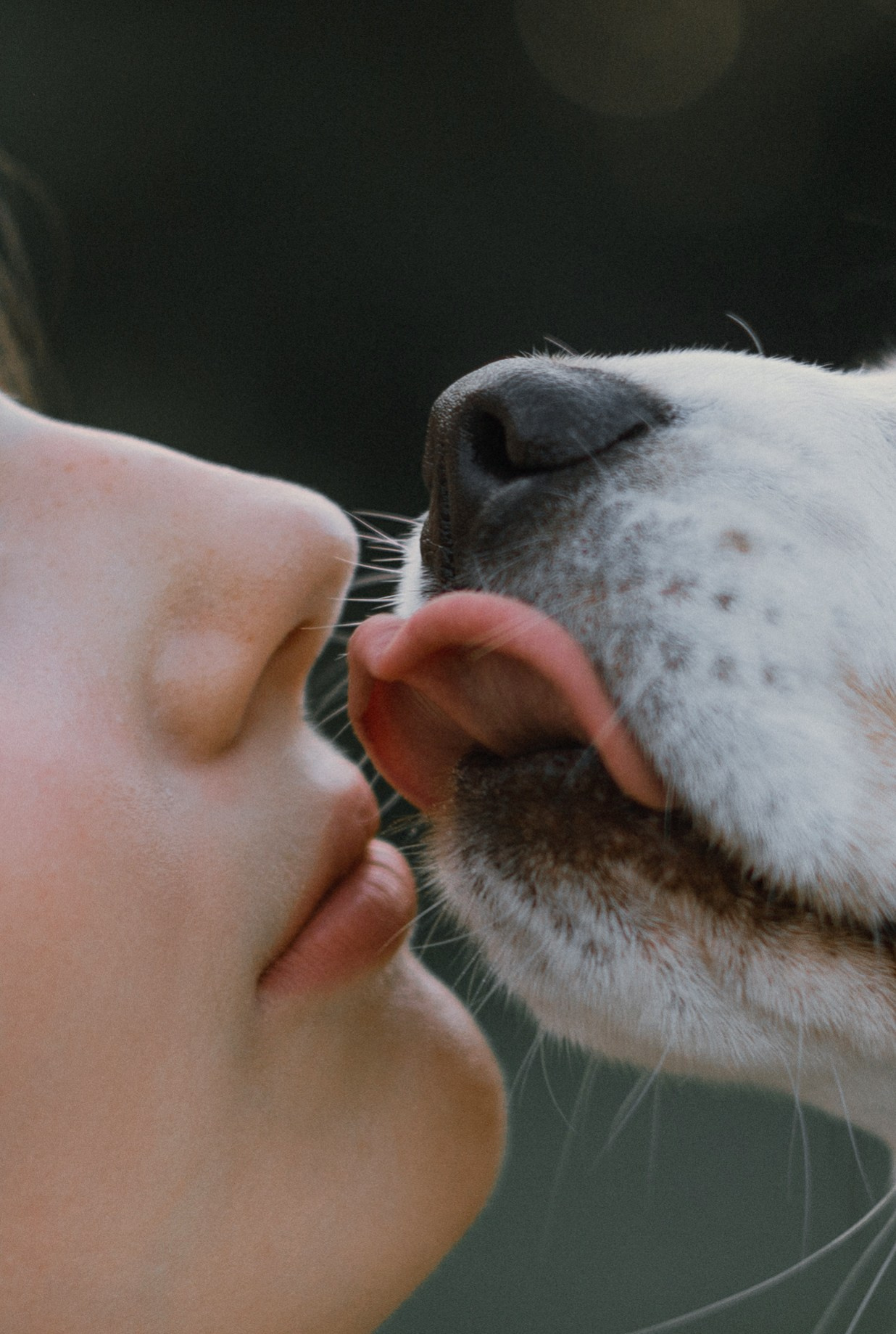 Лиза и Сара. Фотограф-анималист Богданова Полина