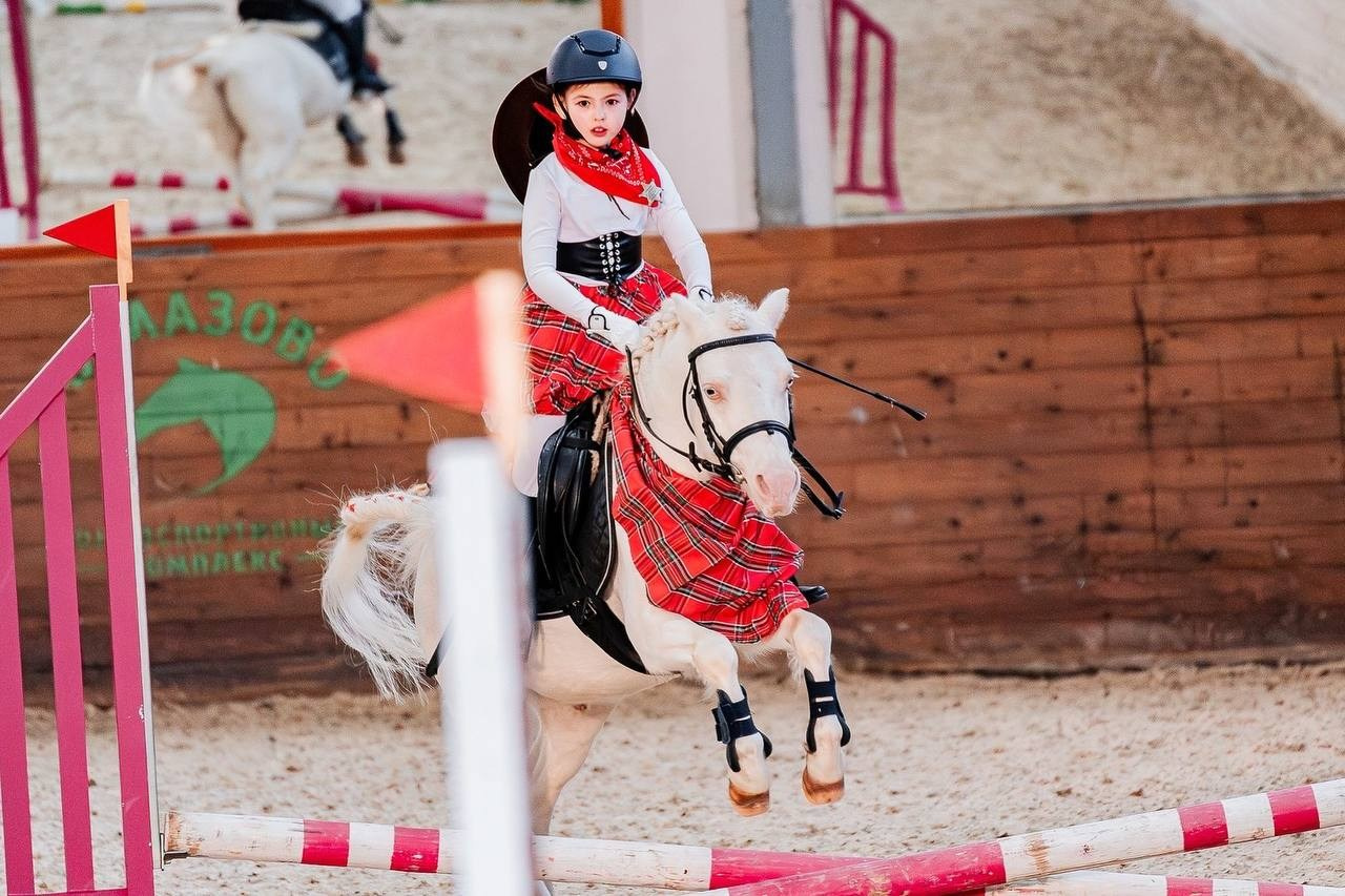 НОВЫЙ ГОД В КСК «АЛМАЗОВО», КОНКУР. Куракина Дарья • Конный фотограф