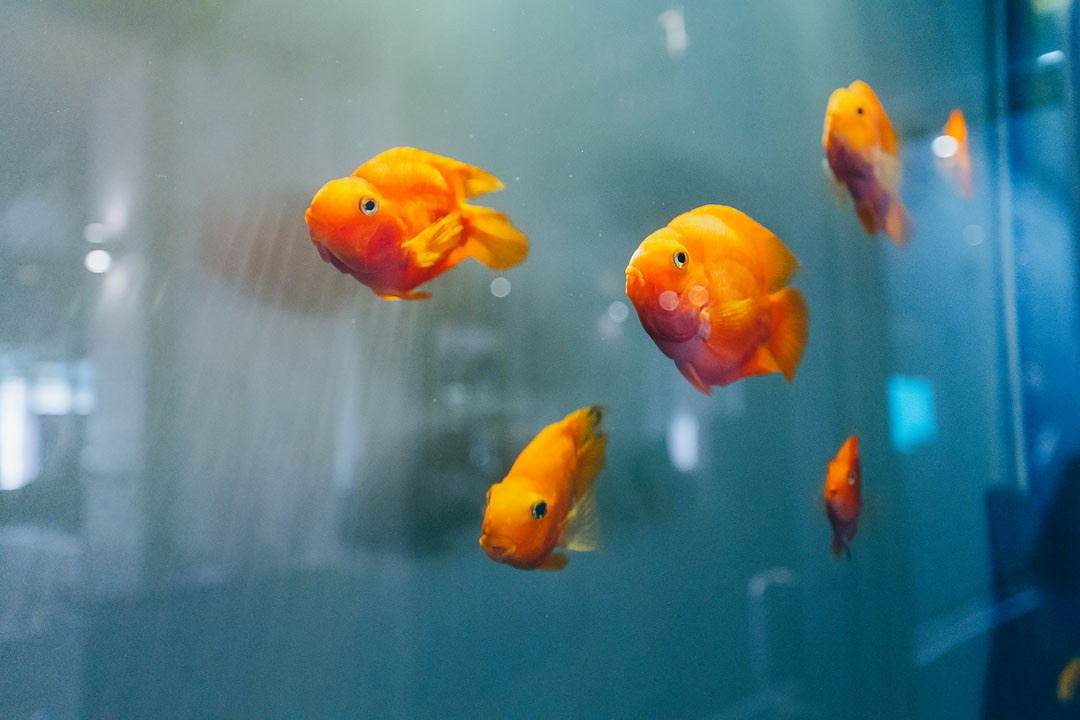 Авито-Недвижимость «БРОКЕР-ТУР» Ростов-на-Дону