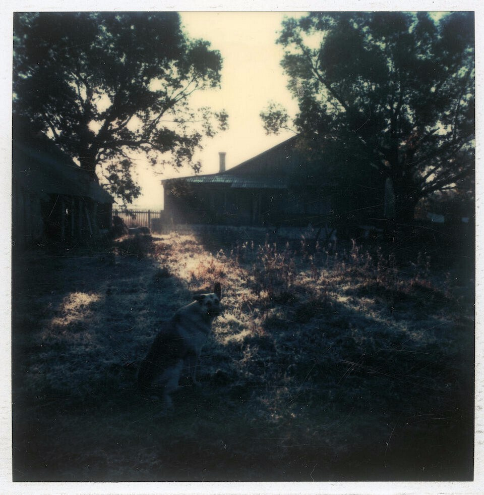 Композиция кадра. Семейный и свадебный фотограф в Майкопе Михаил Мартиросян