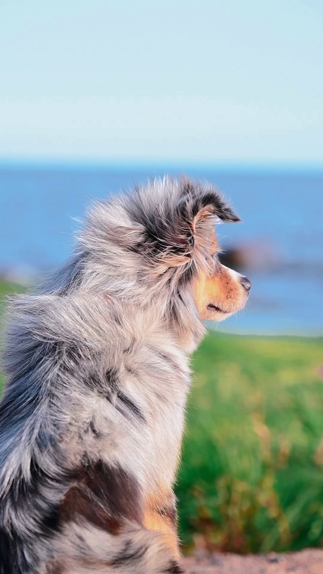 Фотограф в Санкт-Петербурге Александра Ладыгина