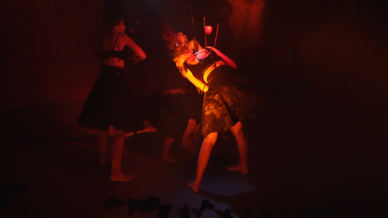 Красное дерево. Фото / Видеосъемка в Москве