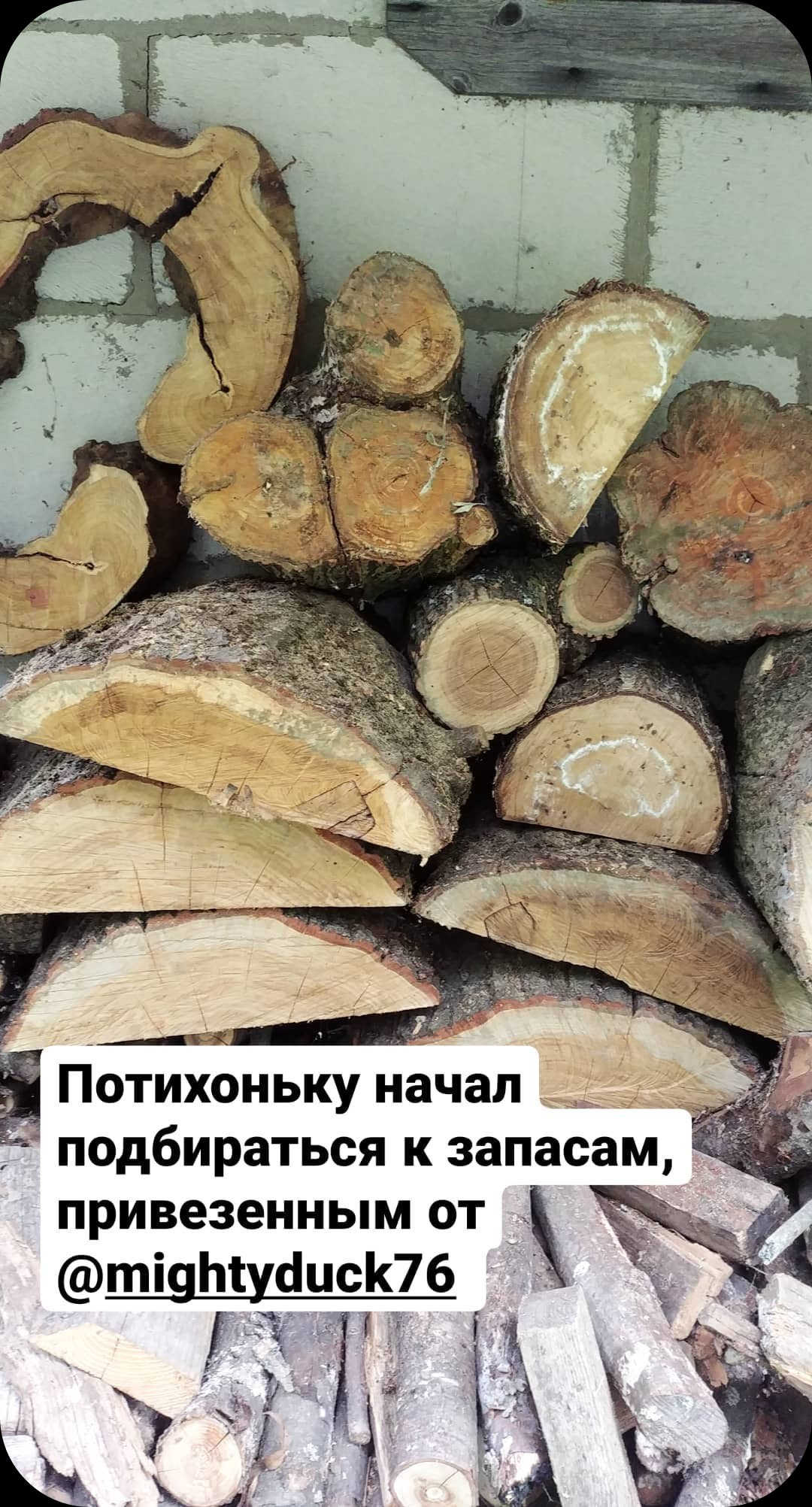 Чаши и тарелки из дерева ручной работы. Sergey Sutkovoy — Designer, photographer, traveler, woodworker