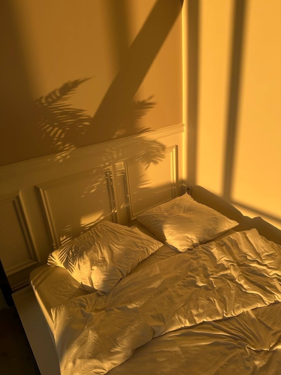 Фотостудии