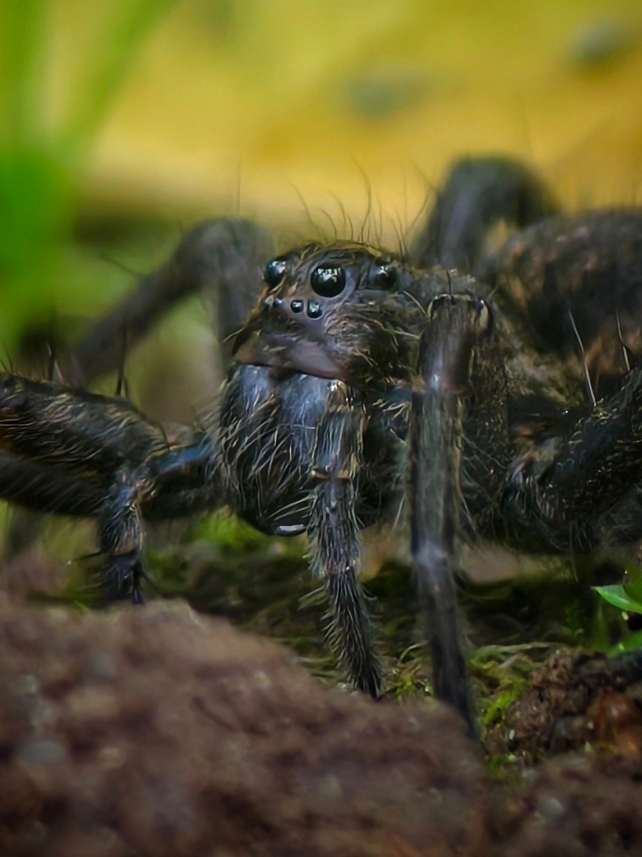 Большое в малом