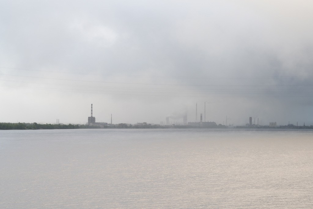 The city of white birches. Vita Stroganova