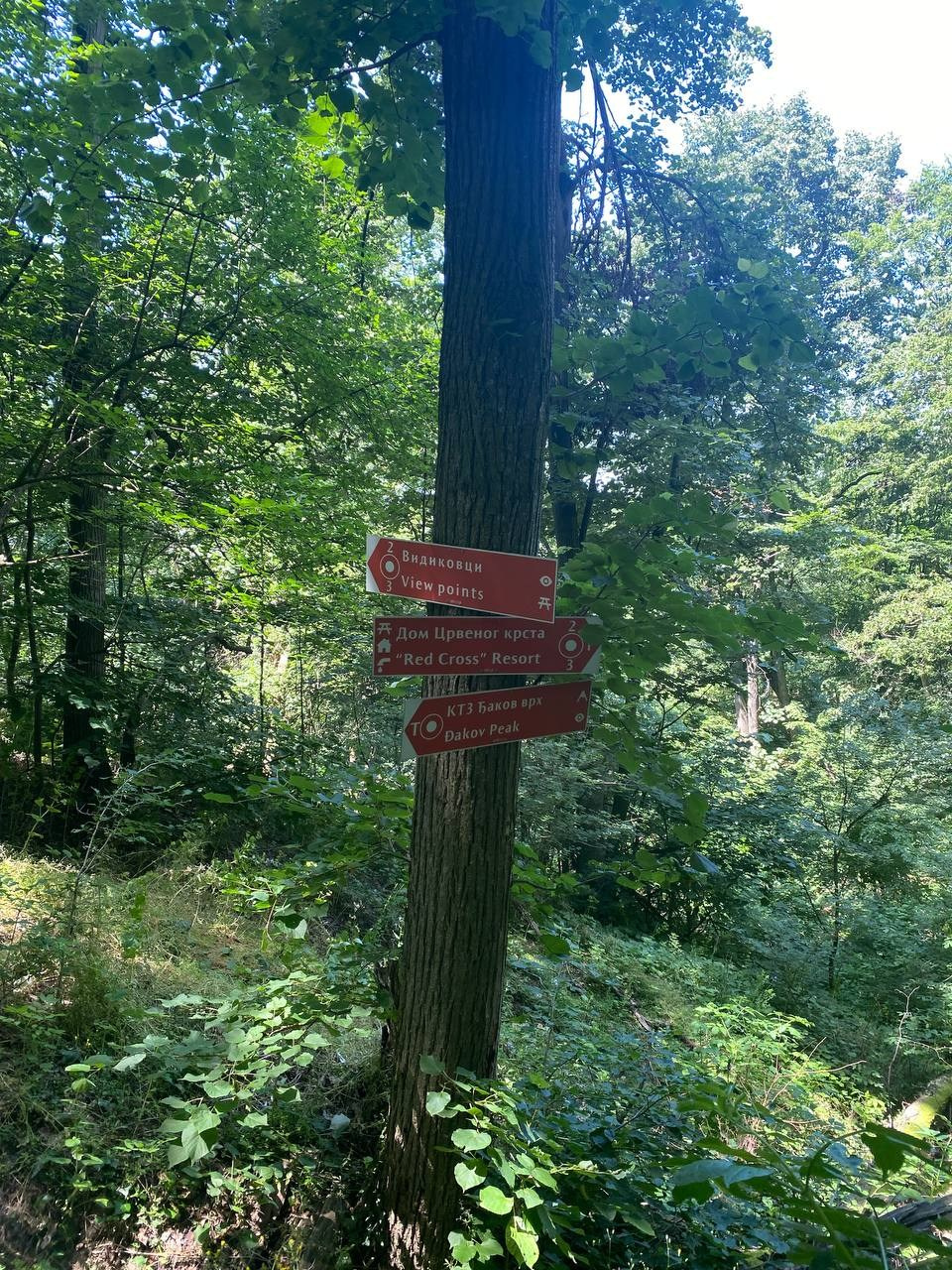 Александр Кузнецов — Эффект пульсации времени