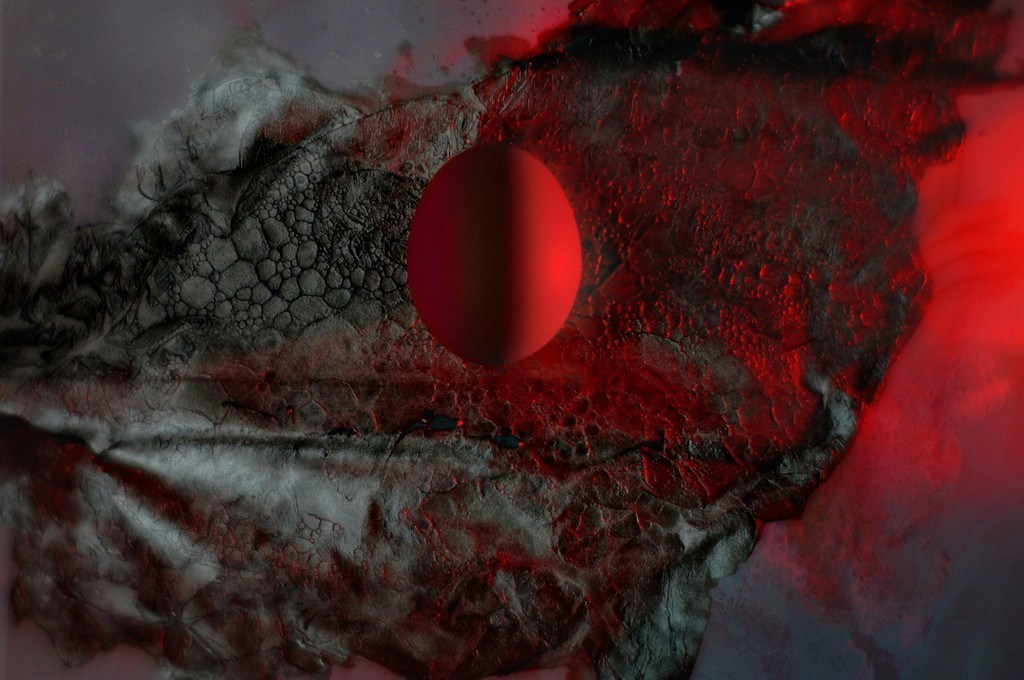 Художник Ольга Андрияш. СОАВТОРЫ